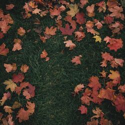 Cover of October Passed Me By