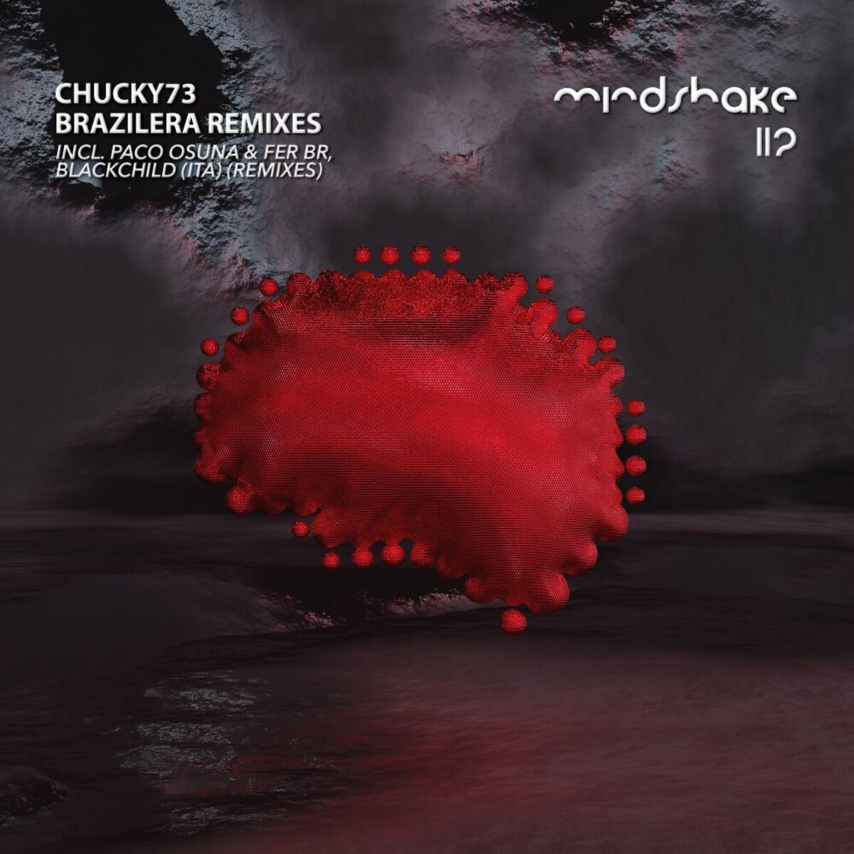 Album cover of Brazilera Remixes EP