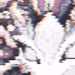 Cover of New