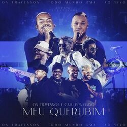 Cover of Meu Querubim (Ao Vivo)