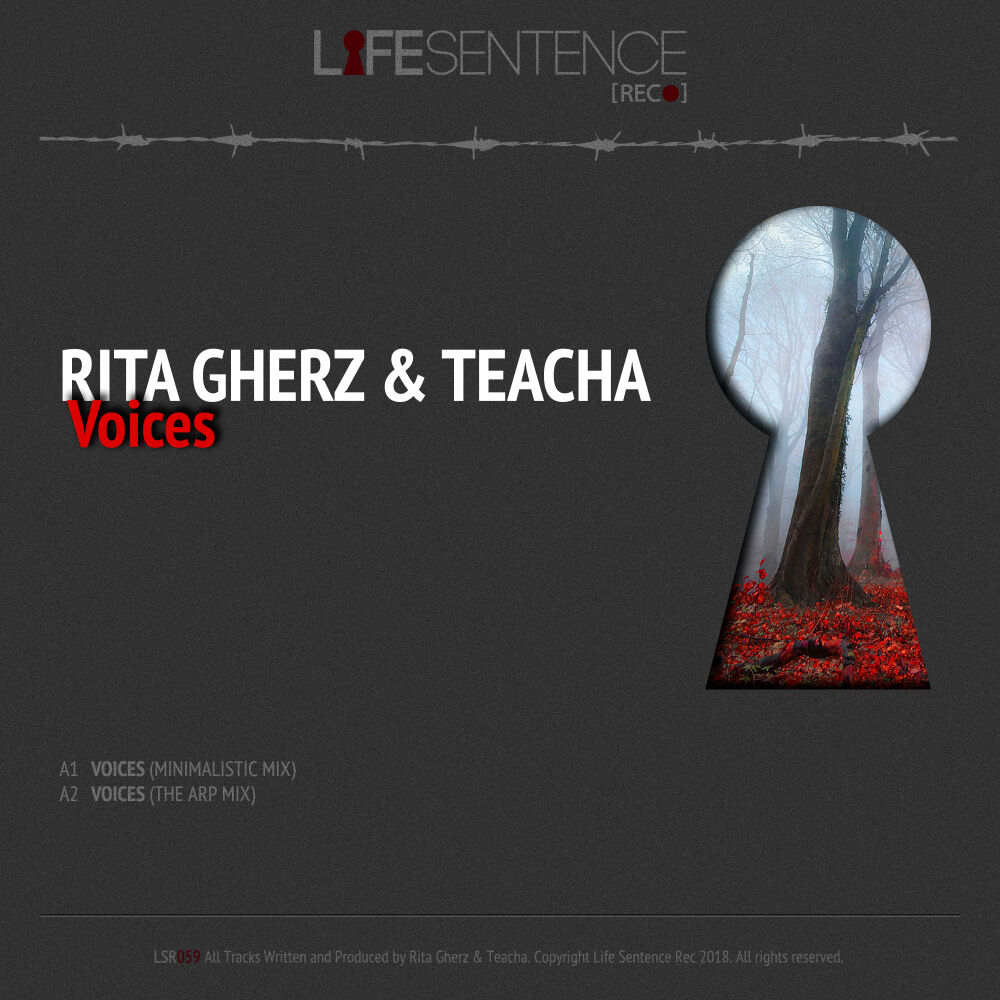 Picture of Voices