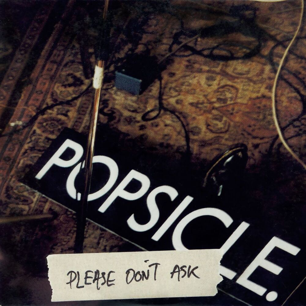 Picture of Please Don't Ask
