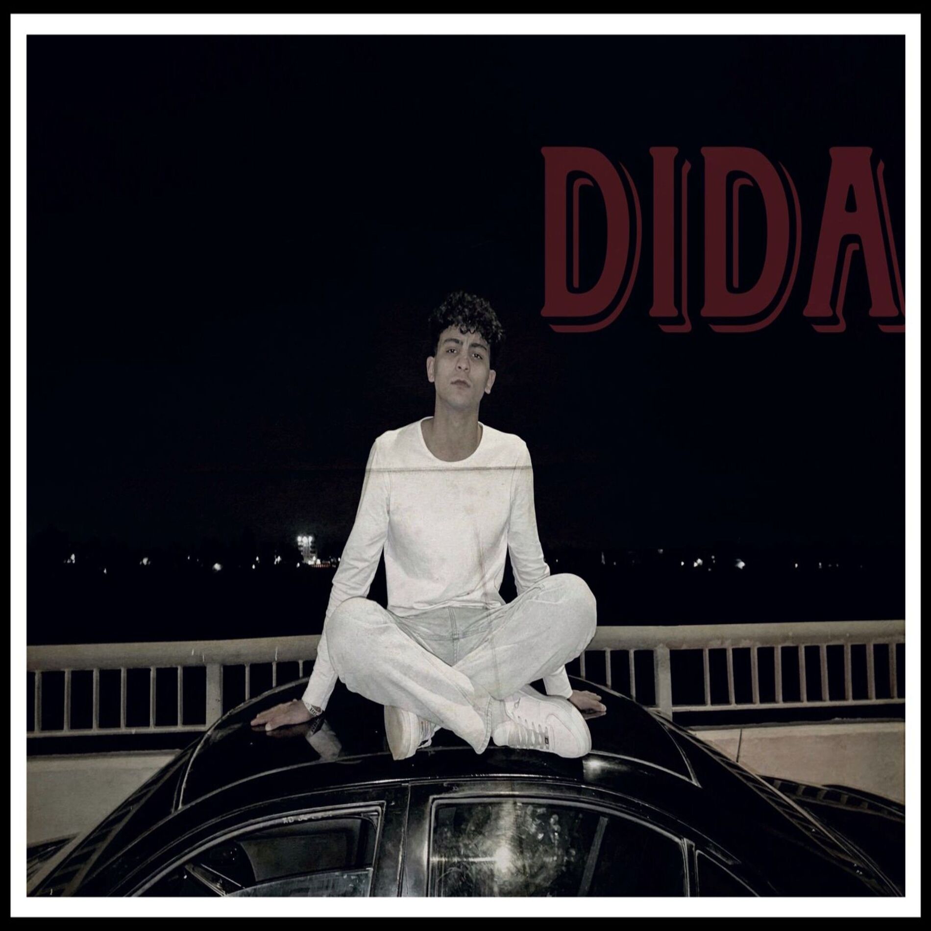 Album cover of DIDA