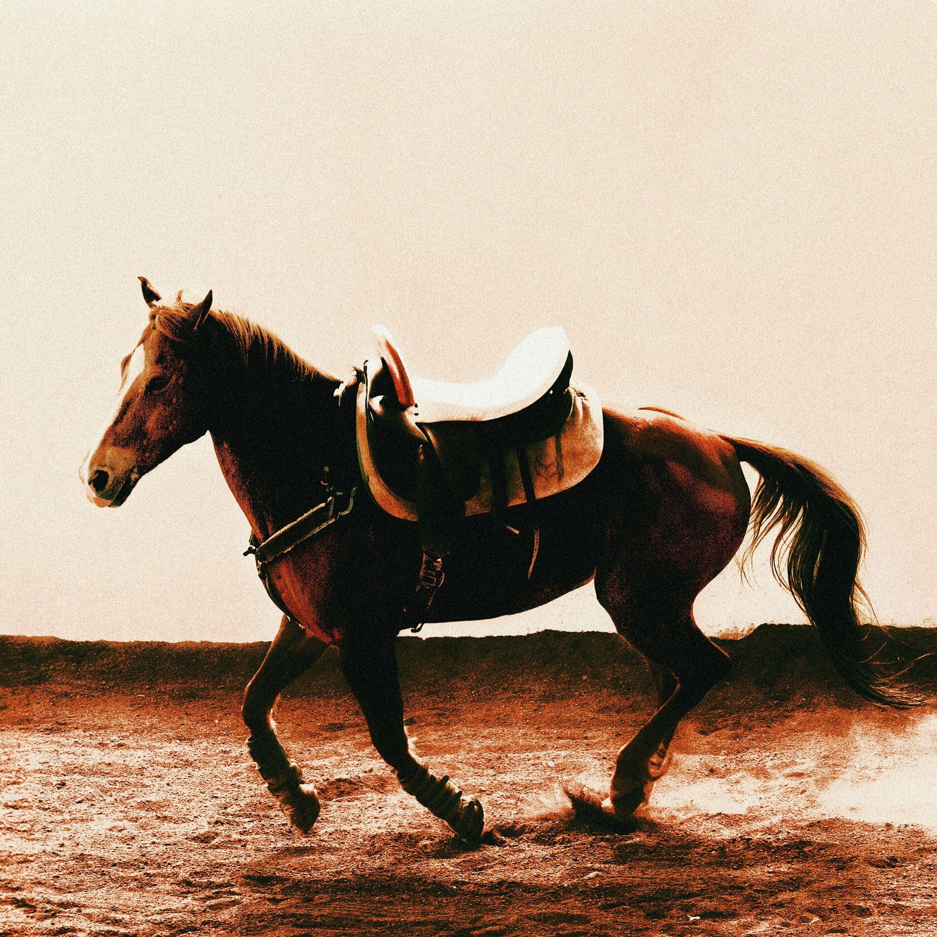 Album cover of Chula