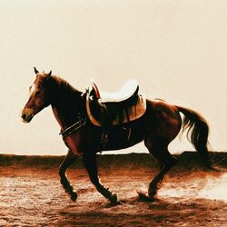 Cover of Chula