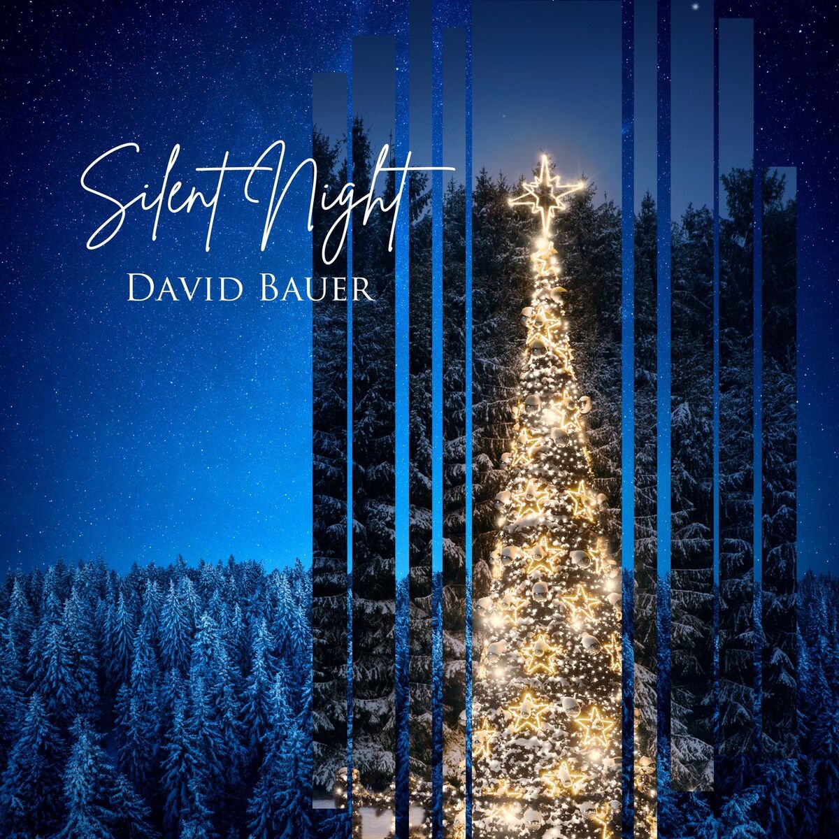 Album cover of Silent Night