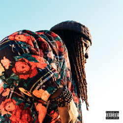 Cover of Rose Bowl