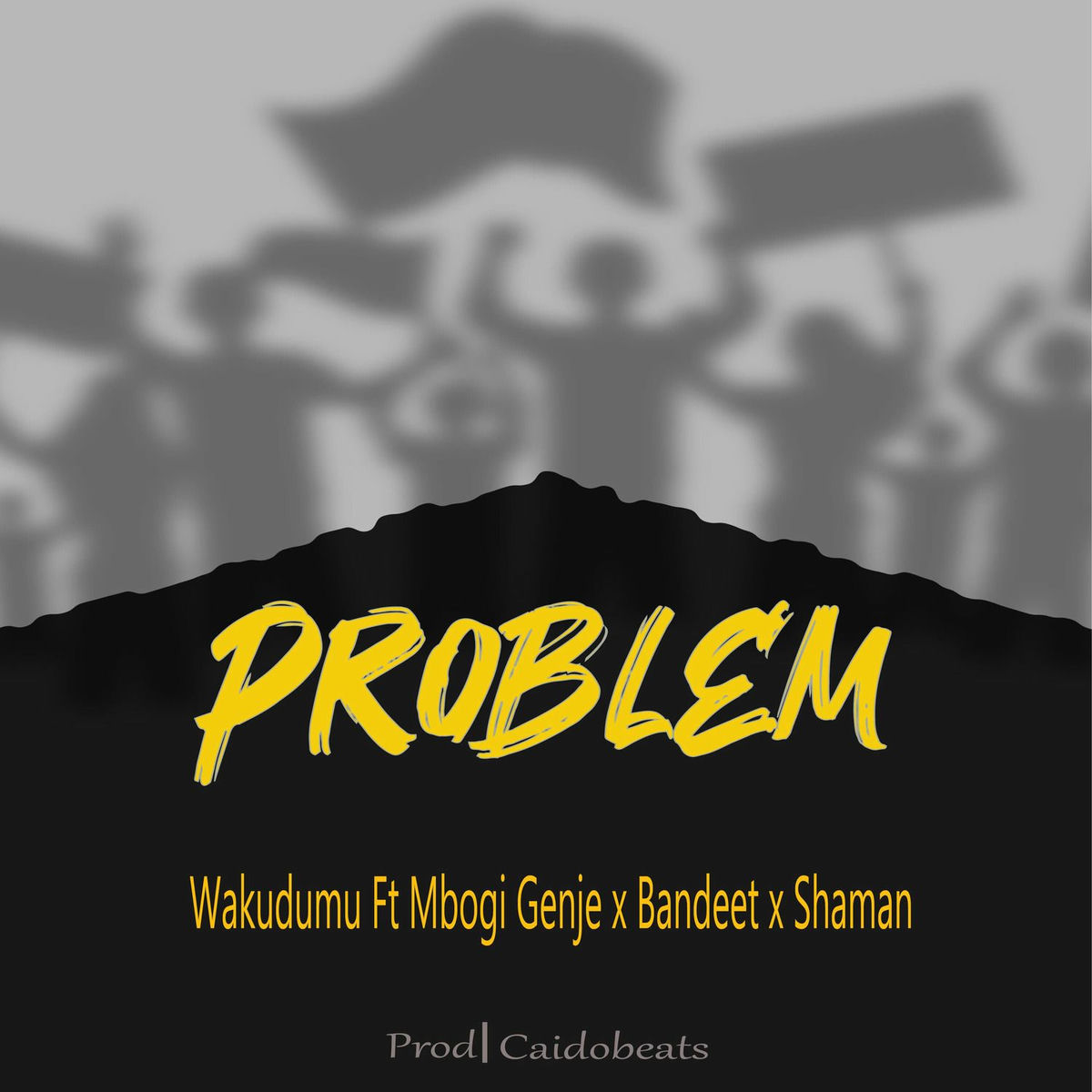 Album cover of Problem