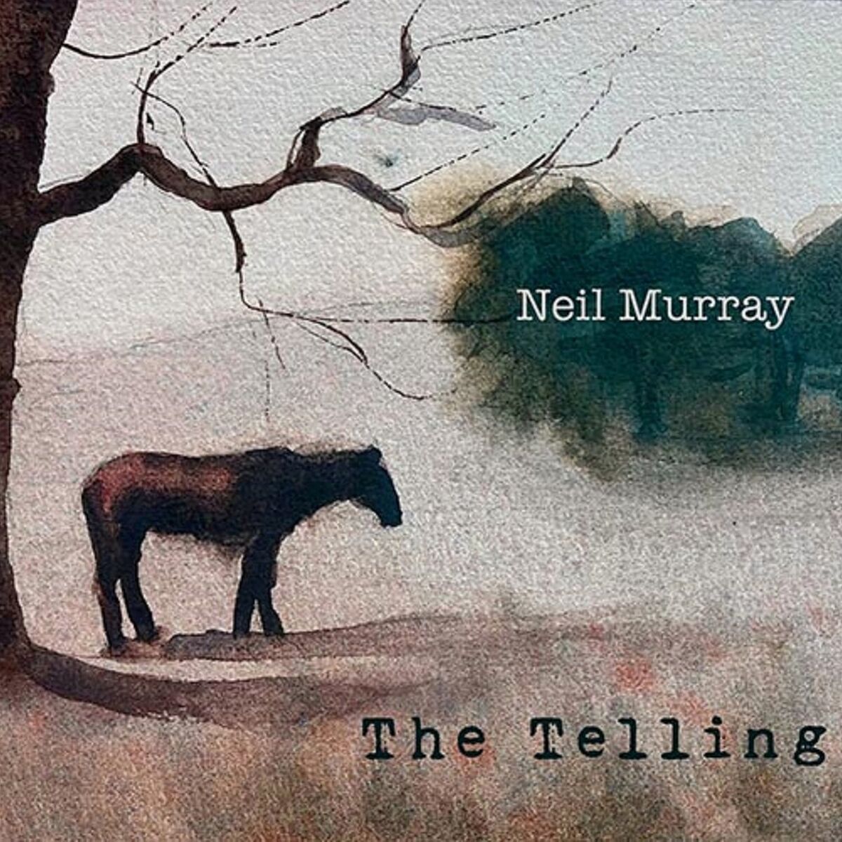 Album cover of Broken Land