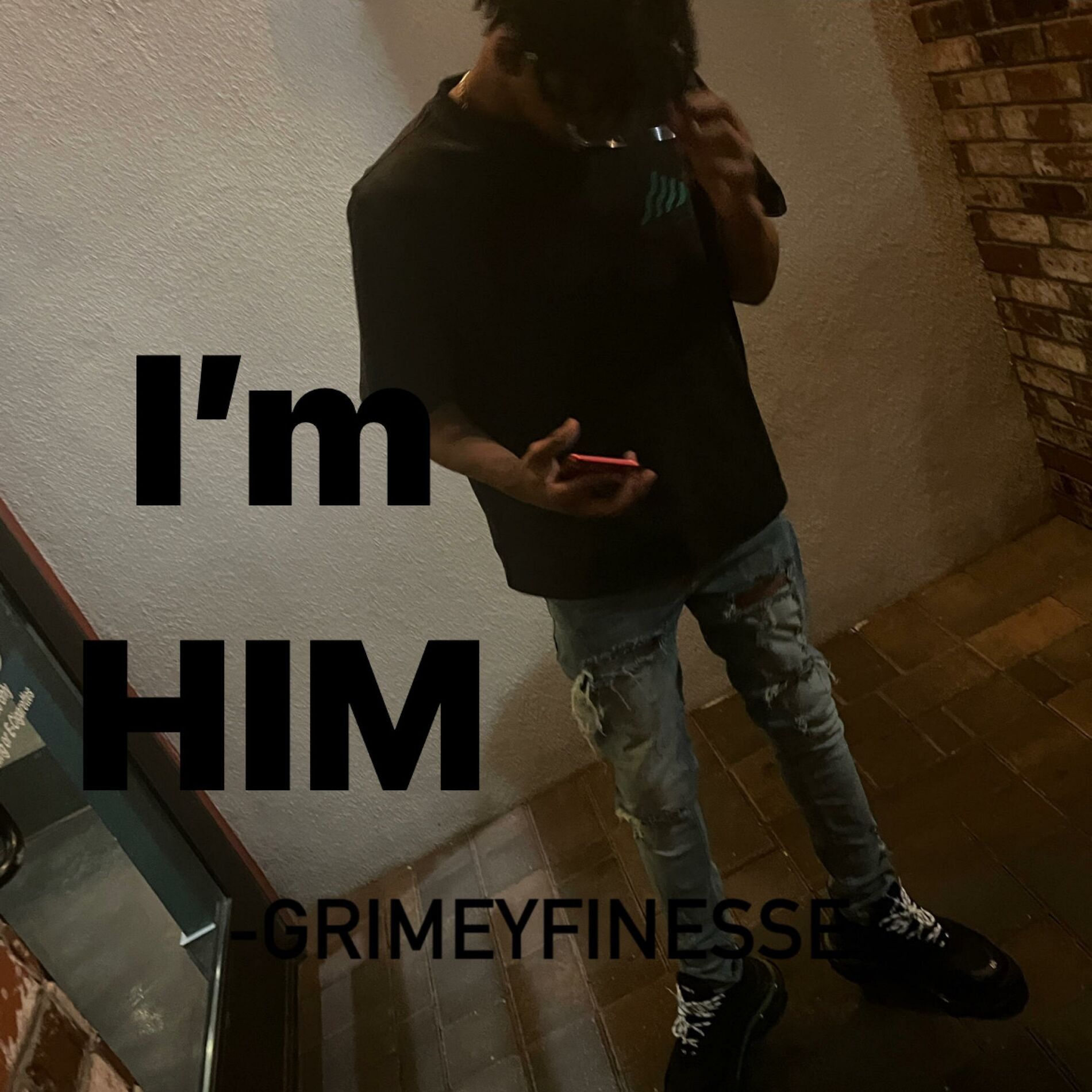Album cover of I'm HIM