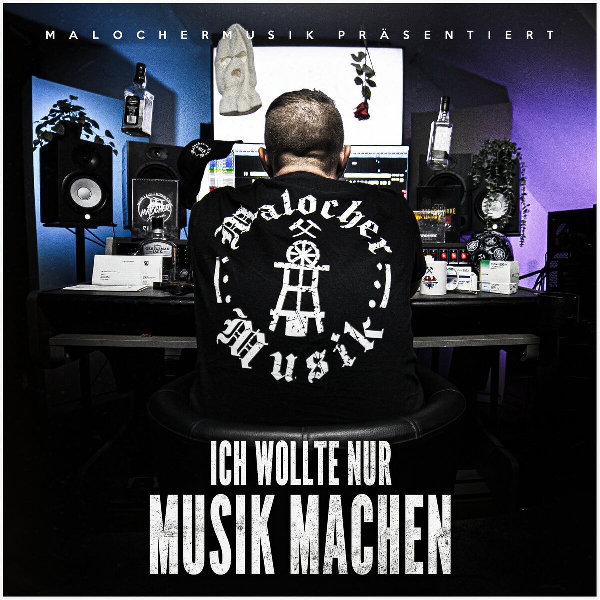 Album cover of Ich wollte nur Musik machen