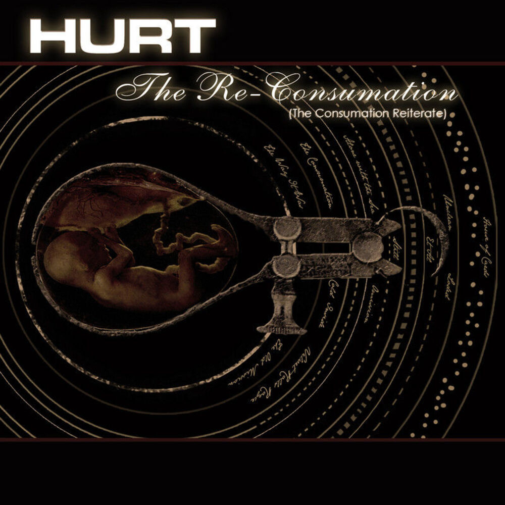 Picture of The Re-Consumation