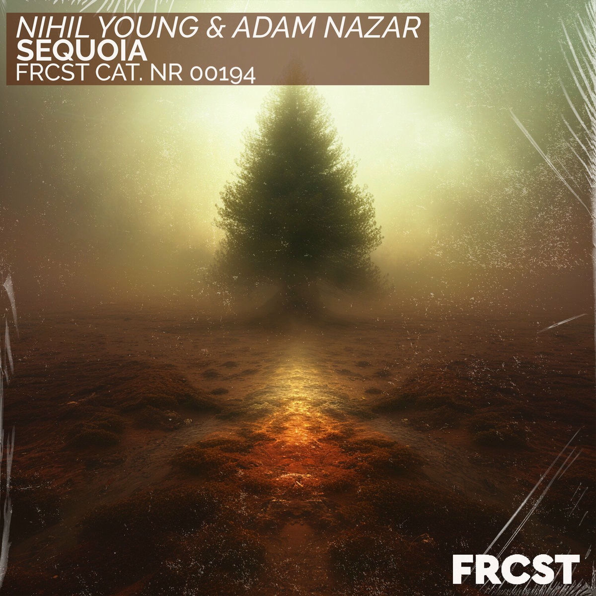 Album cover of Sequoia