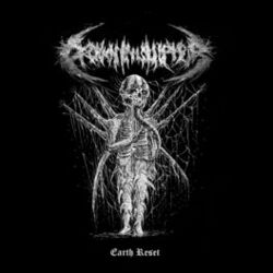 Cover of Earth Reset
