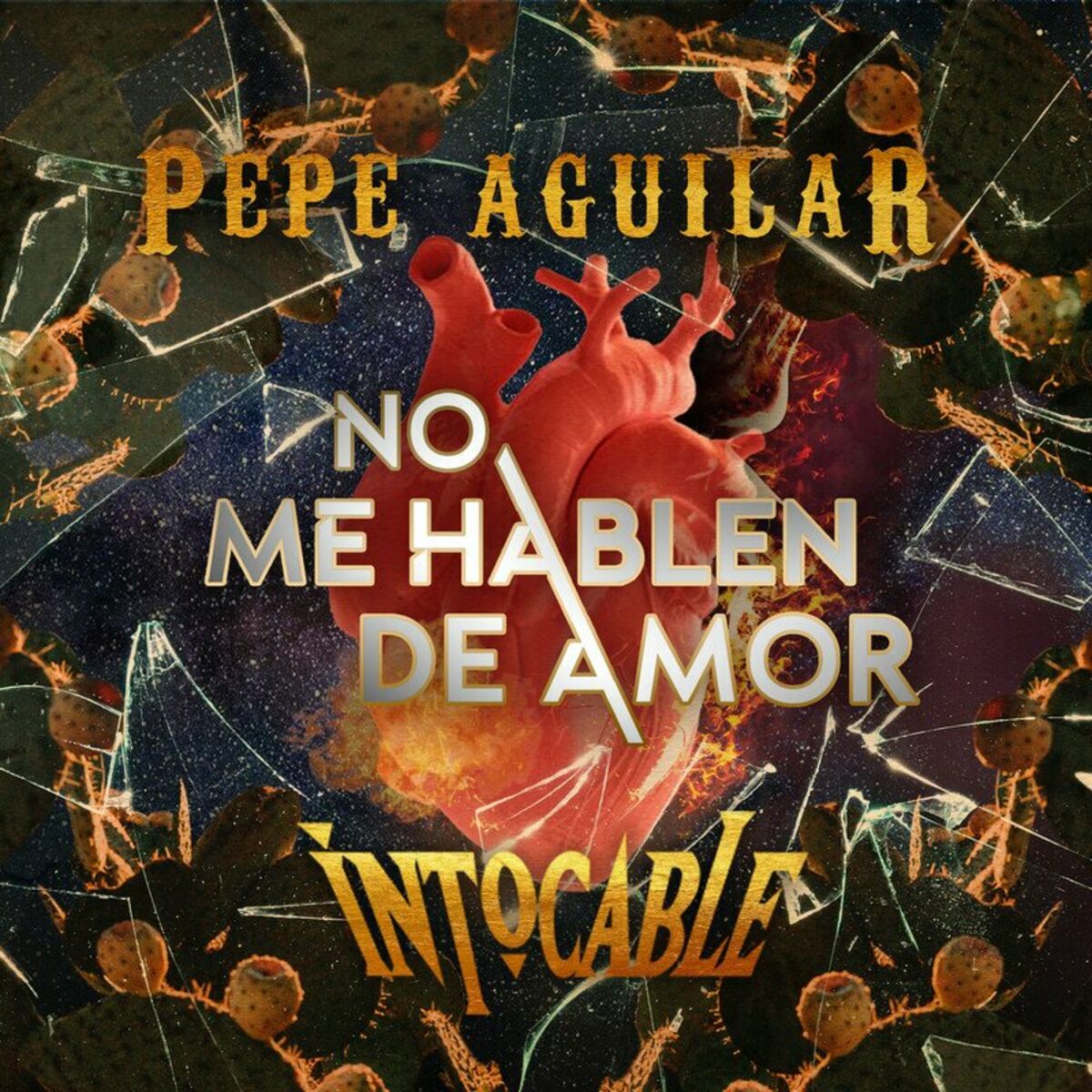 Album cover of No Me Hablen de Amor