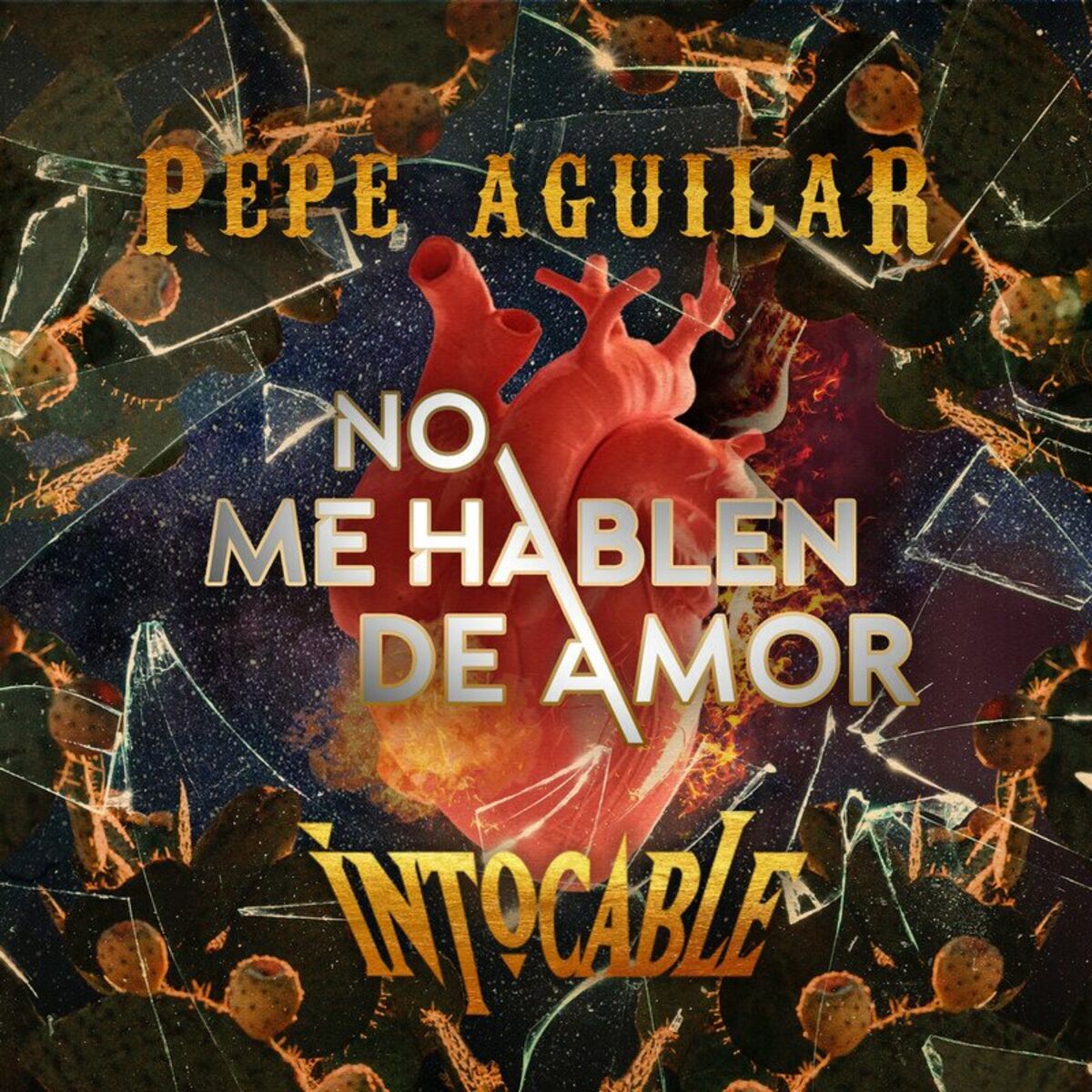 Album picture of No Me Hablen de Amor