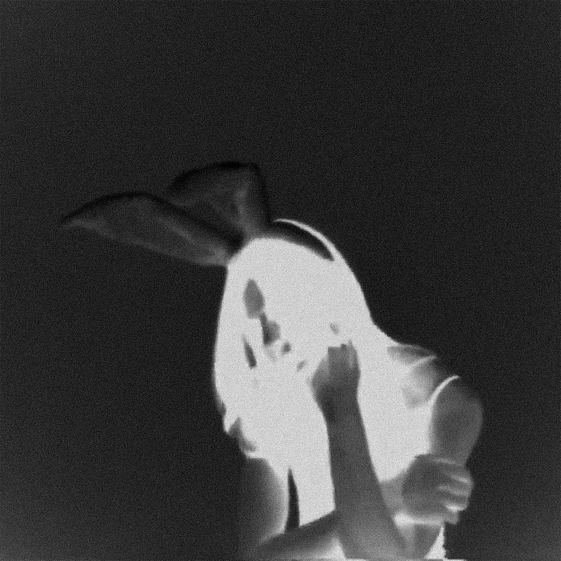 Album cover of Follow You