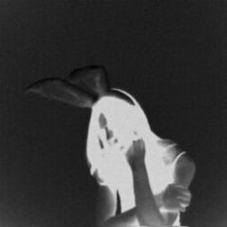Cover of Follow You