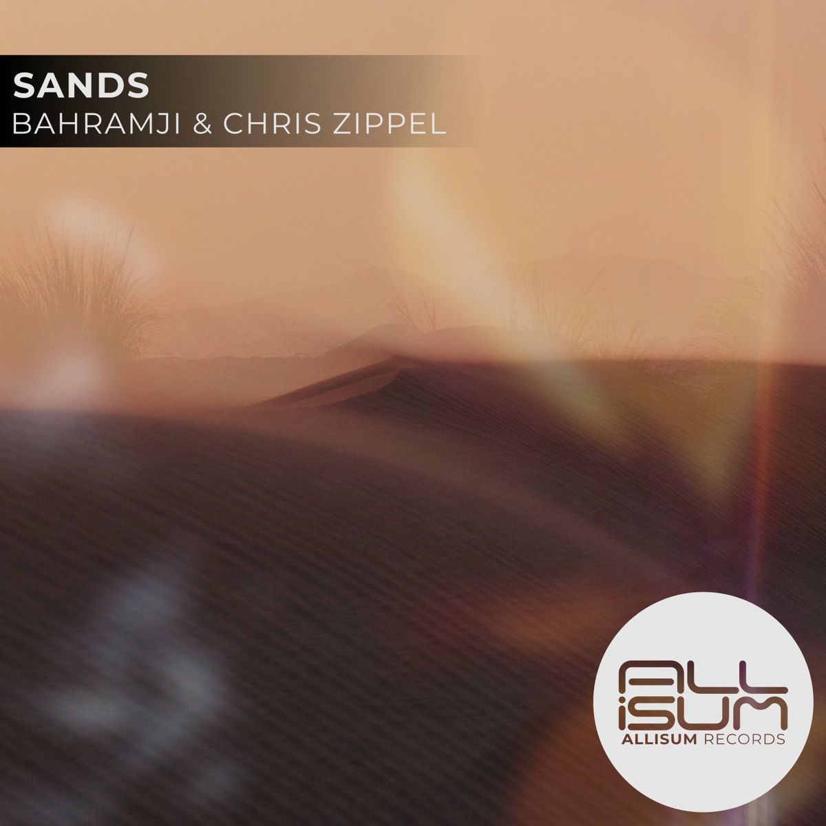 Album cover of Sands