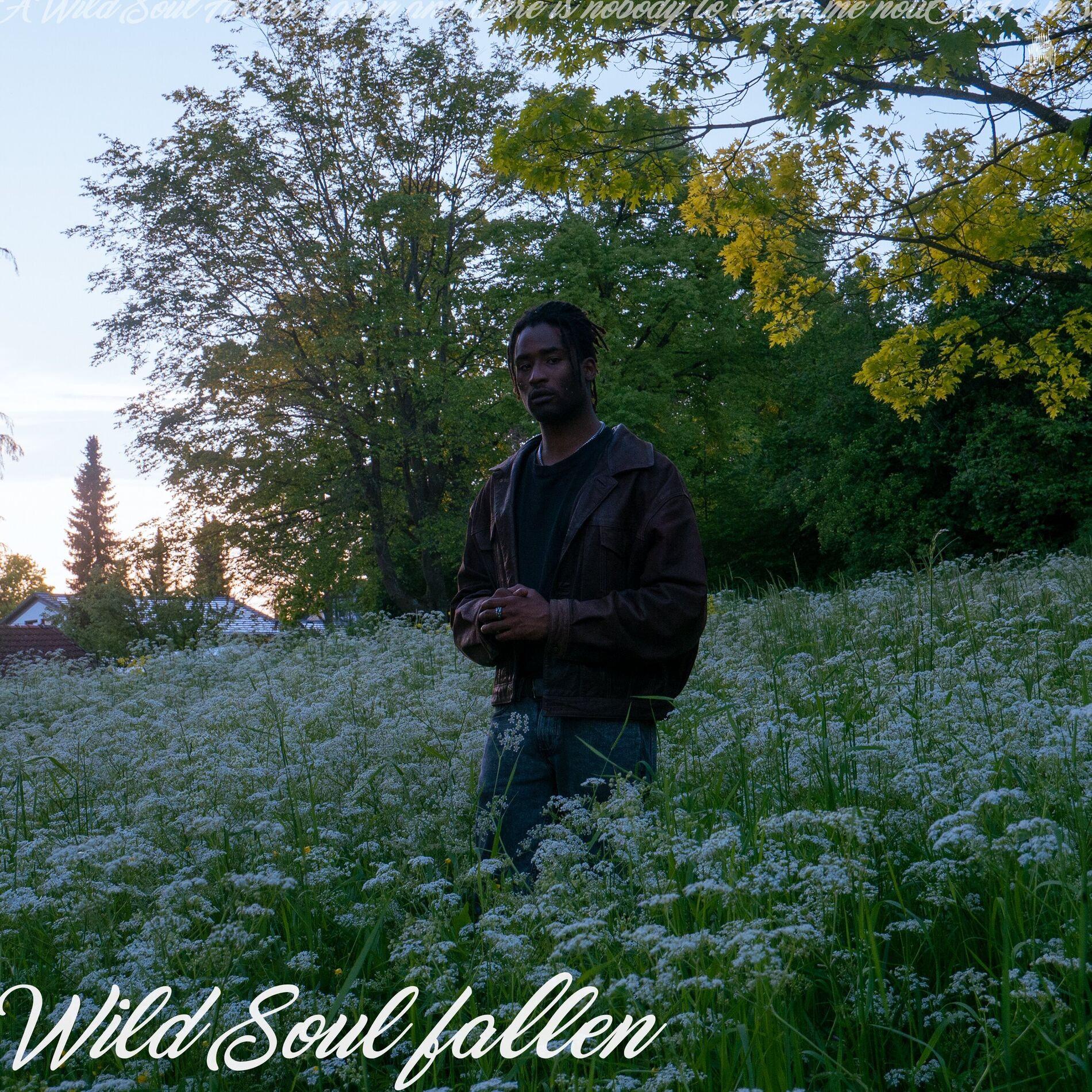 Album cover of Wild Soul Fallen