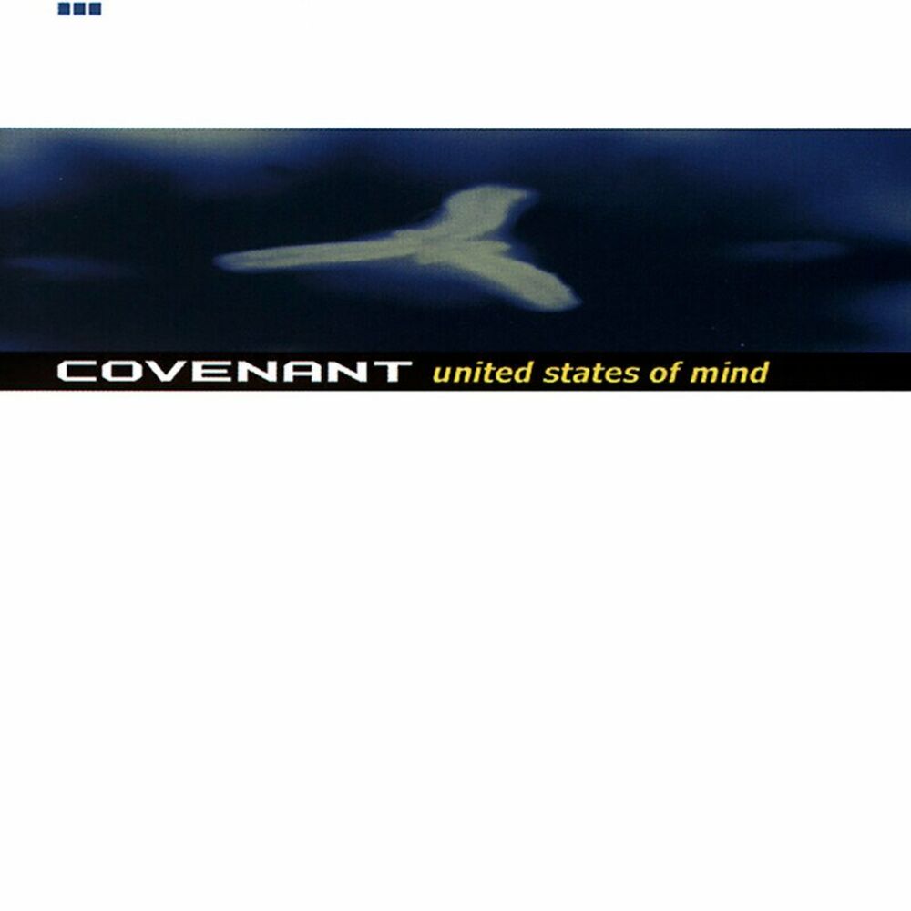 Picture of United States Of Mind