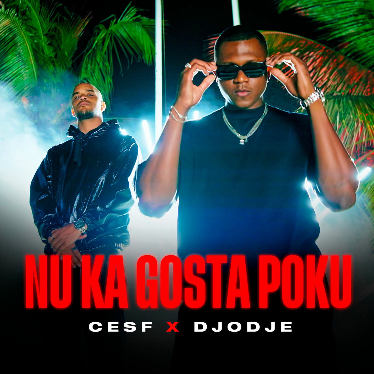 Album cover of Nu Ka Gosta Poku