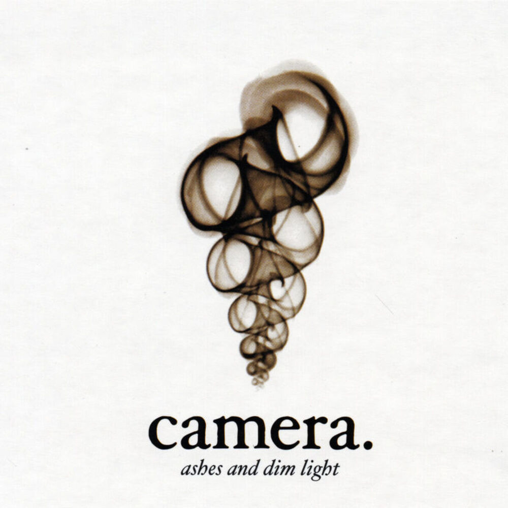 Picture of Ashes And Dim Light