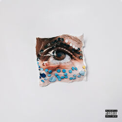 Cover of PSYCHEDELIA2020