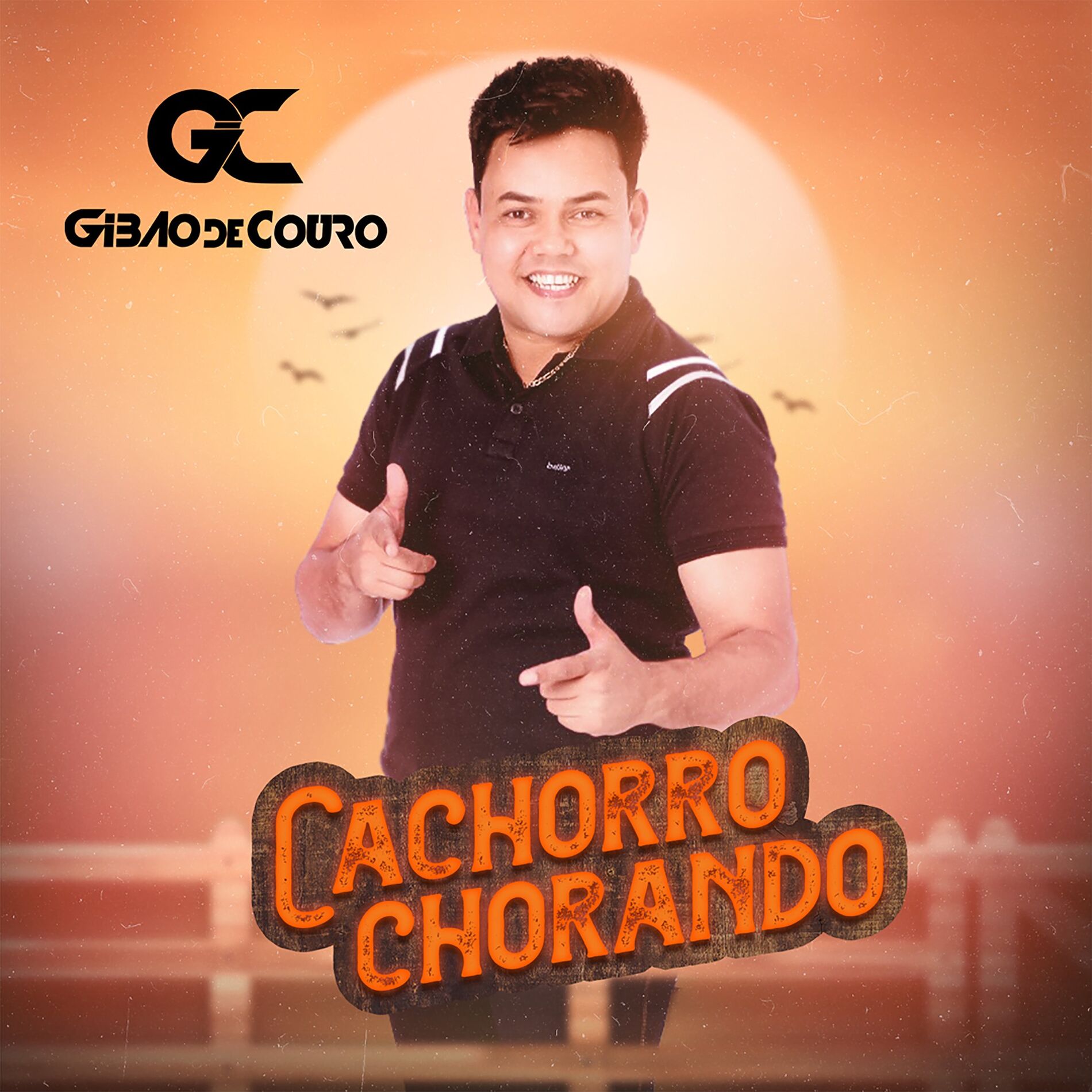 Album cover of Cachorro Chorando