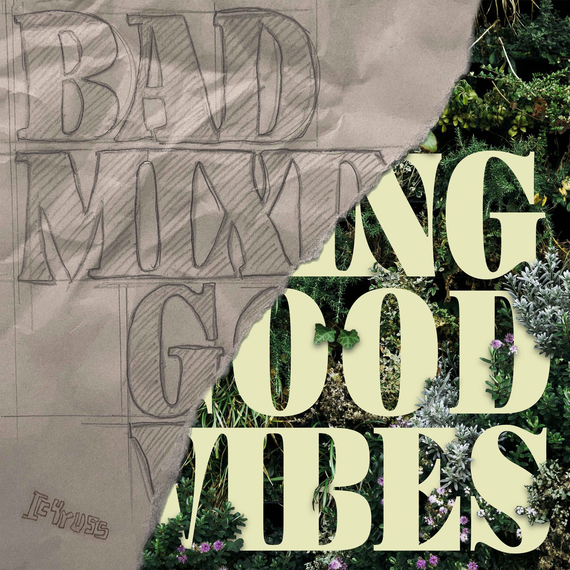 Album cover of Bad Mixing but Good Vibes