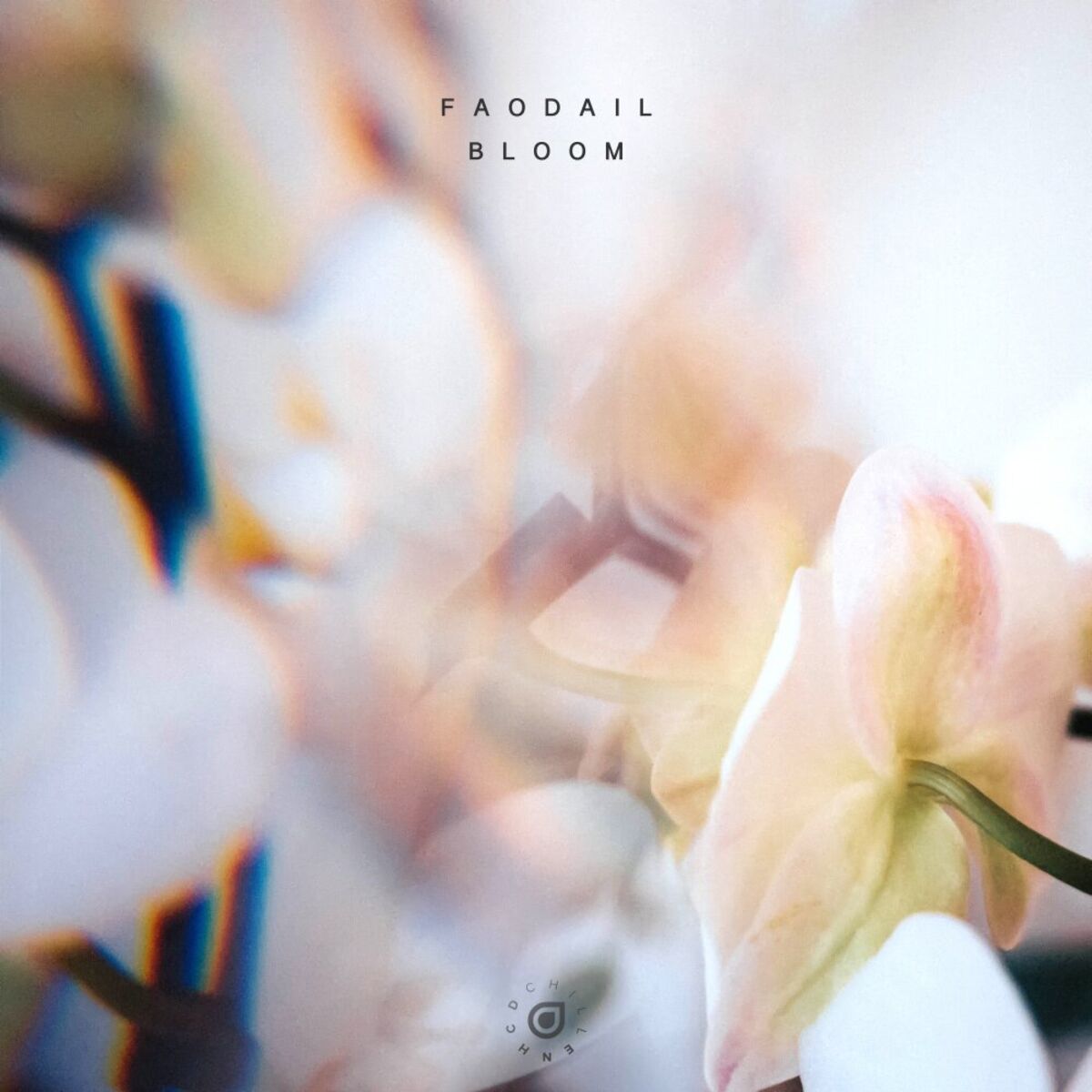 Album cover of Bloom