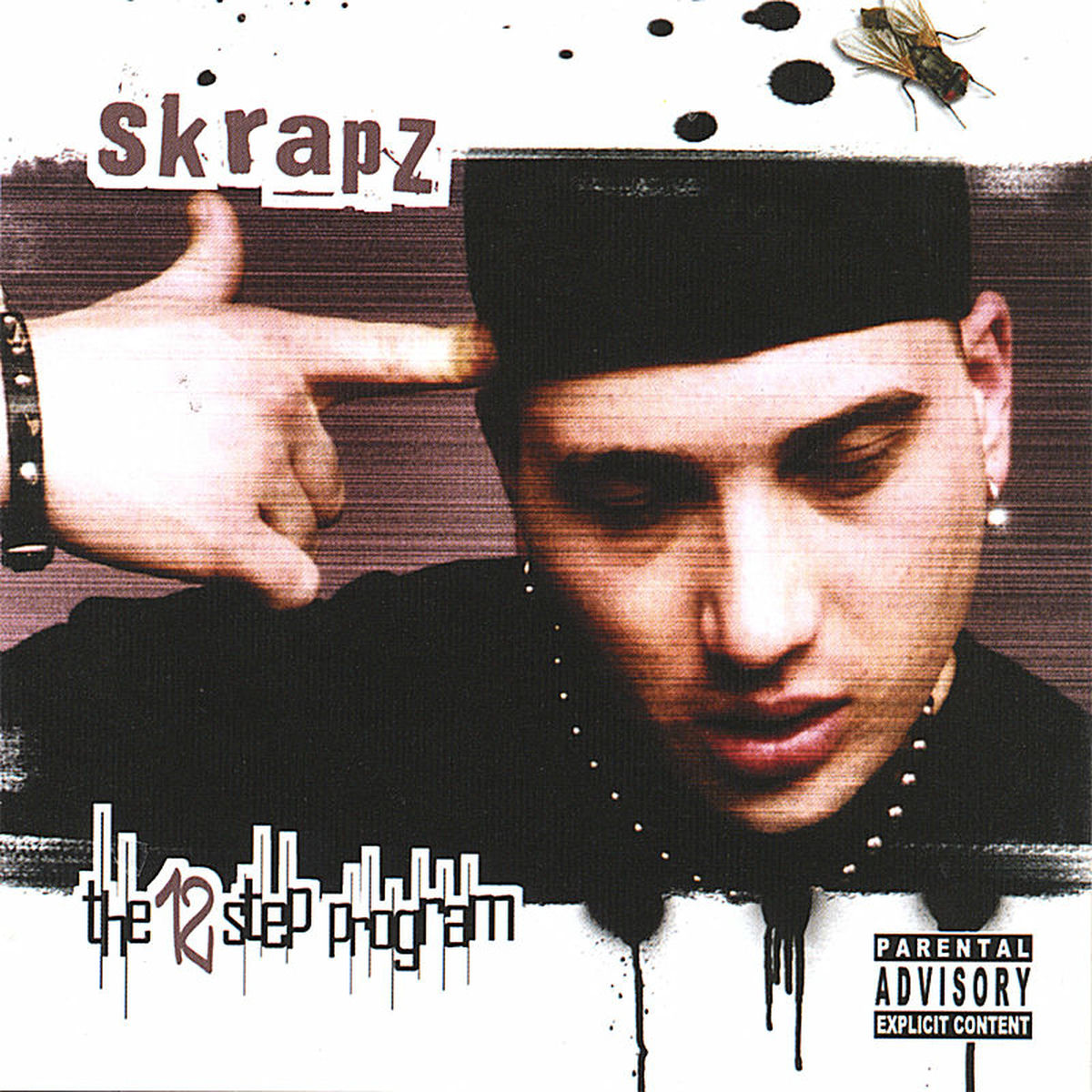 Album cover of The 12 Step Program