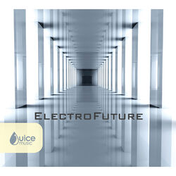 Cover of Electrofuture