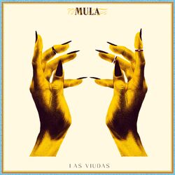 Cover of Las Viudas