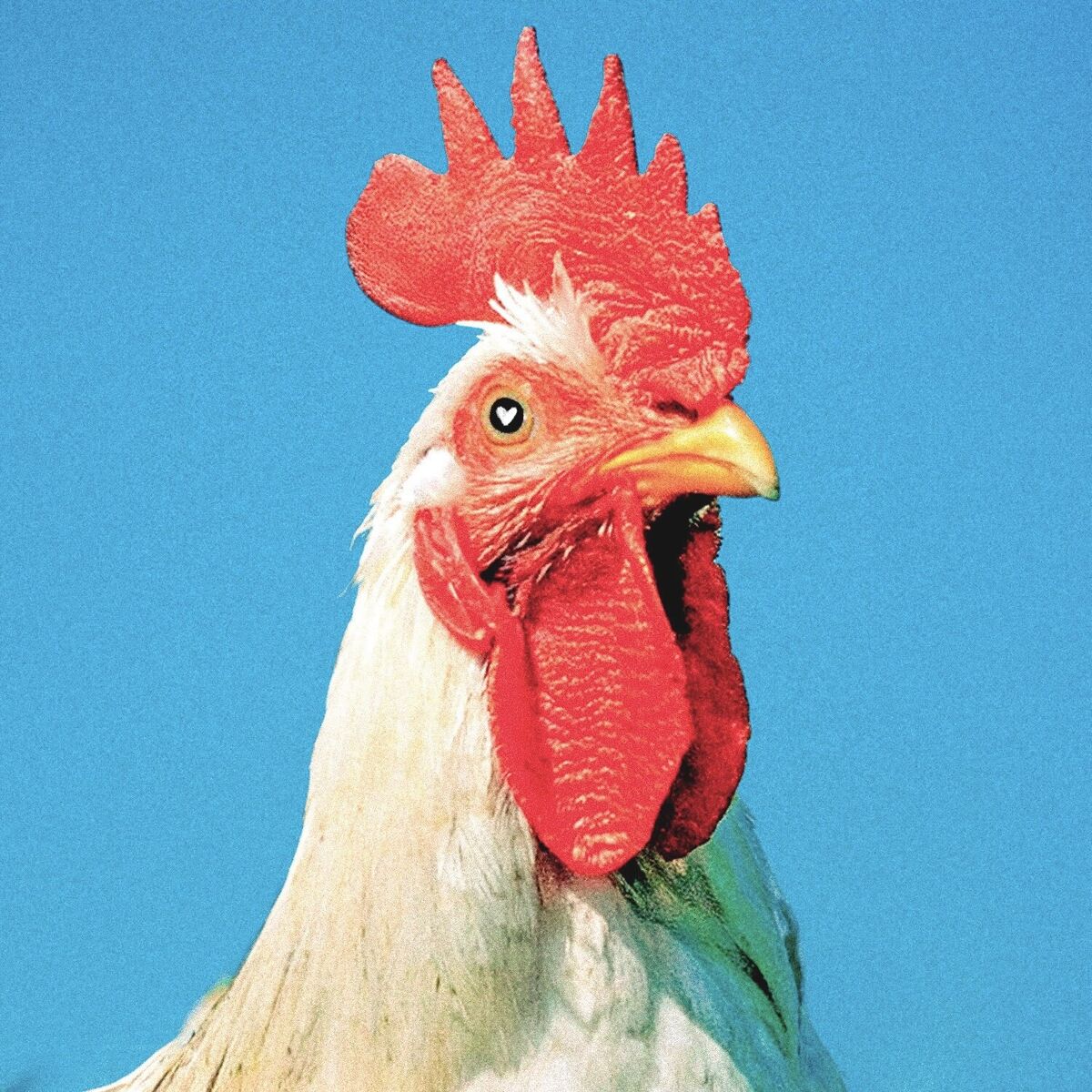 Album cover of SANTOBELLAKO