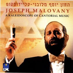 Cover of A Kaleidoscope of Cantorial Music