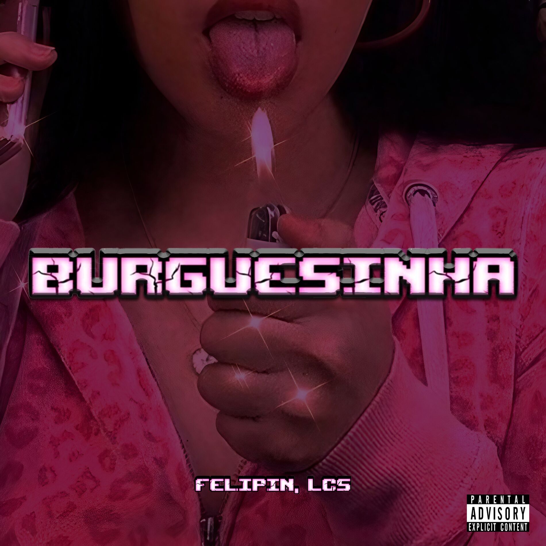 Album cover of Burguesinha