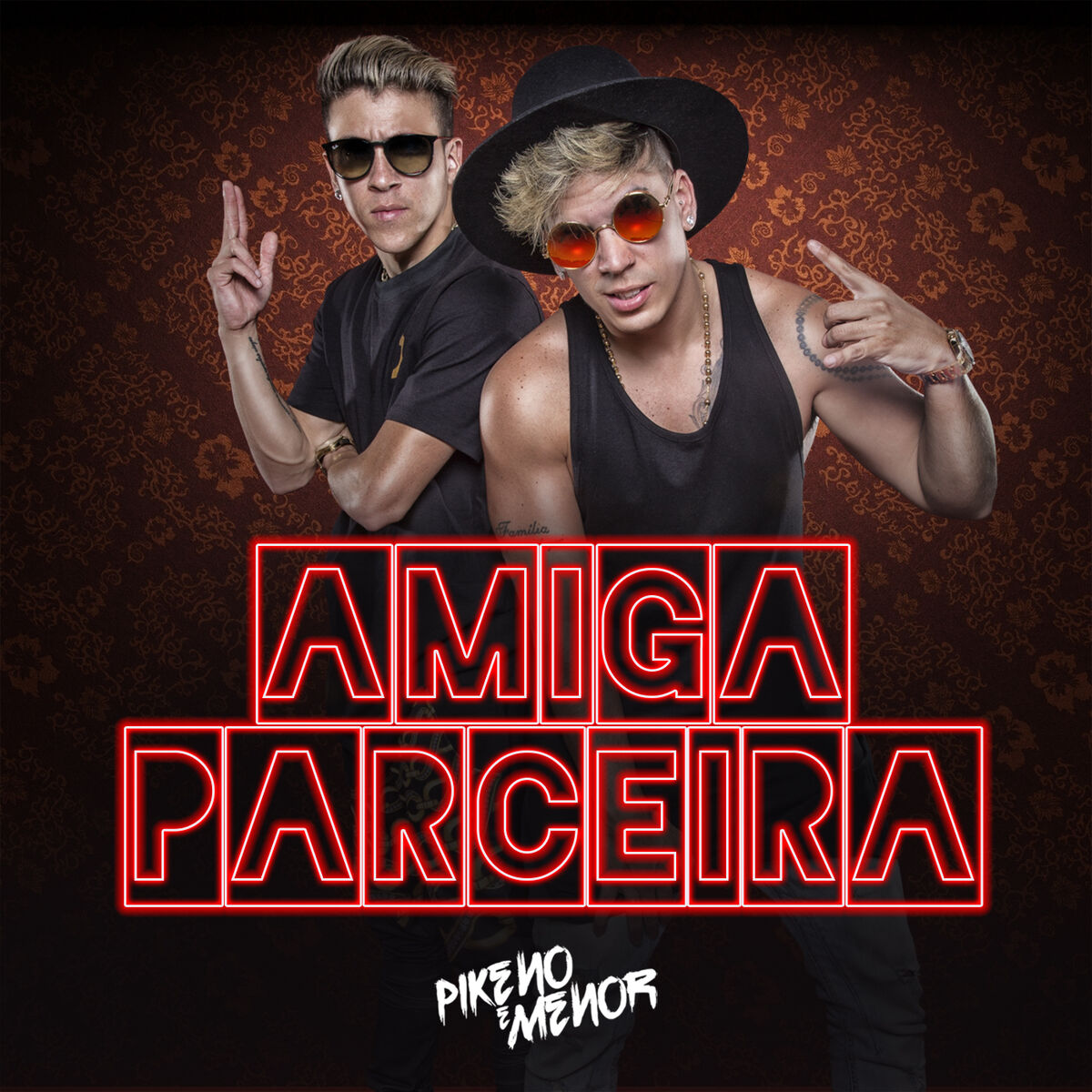 Album cover of Amiga Parceira