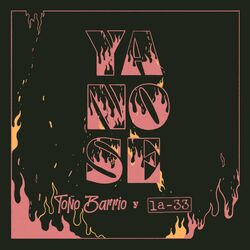 Cover of Ya no sé