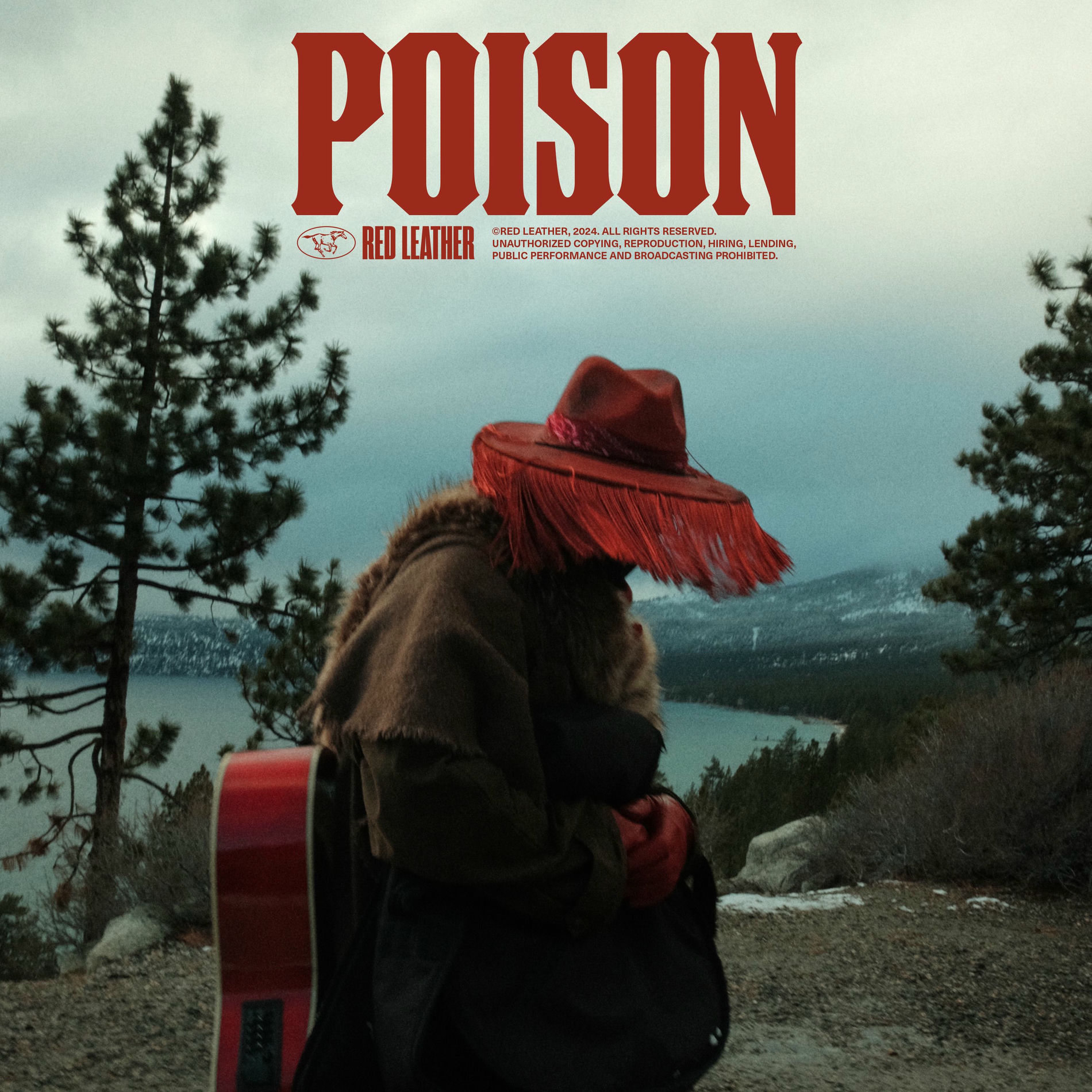 Album cover of POISON