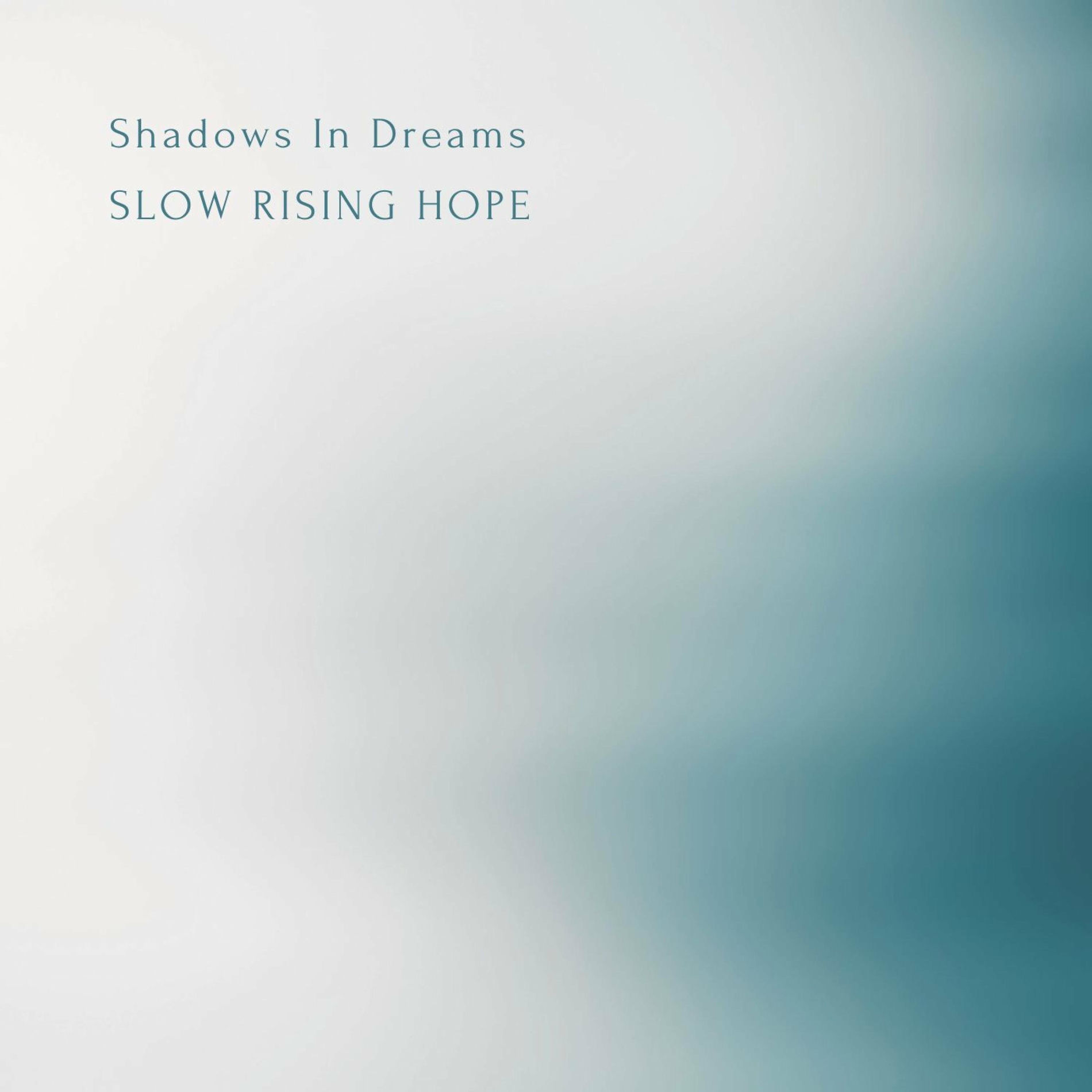 Album cover of Shadows In Dreams (Violin Version)