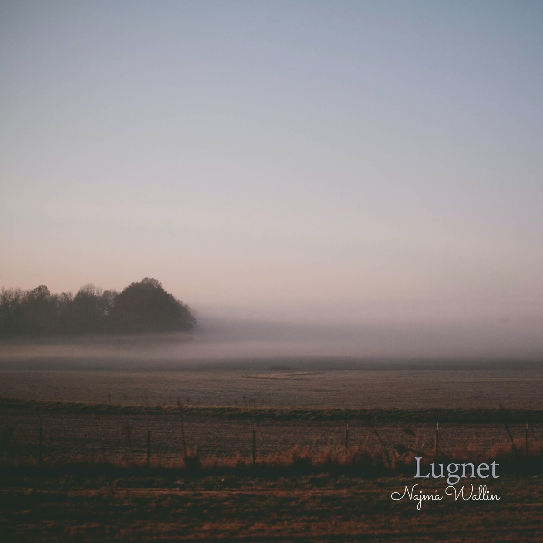Album cover of Lugnet