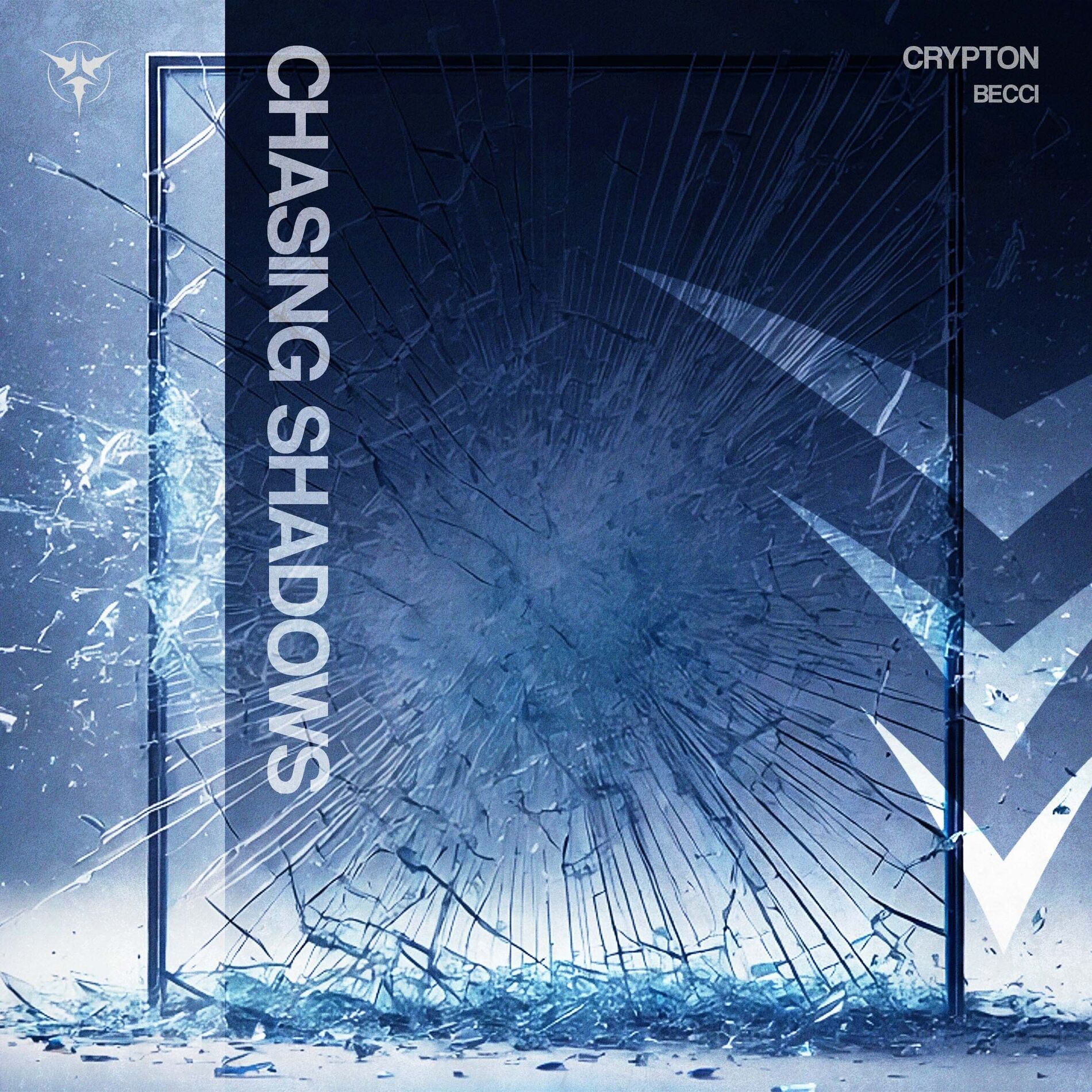 Album cover of CHASING SHADOWS