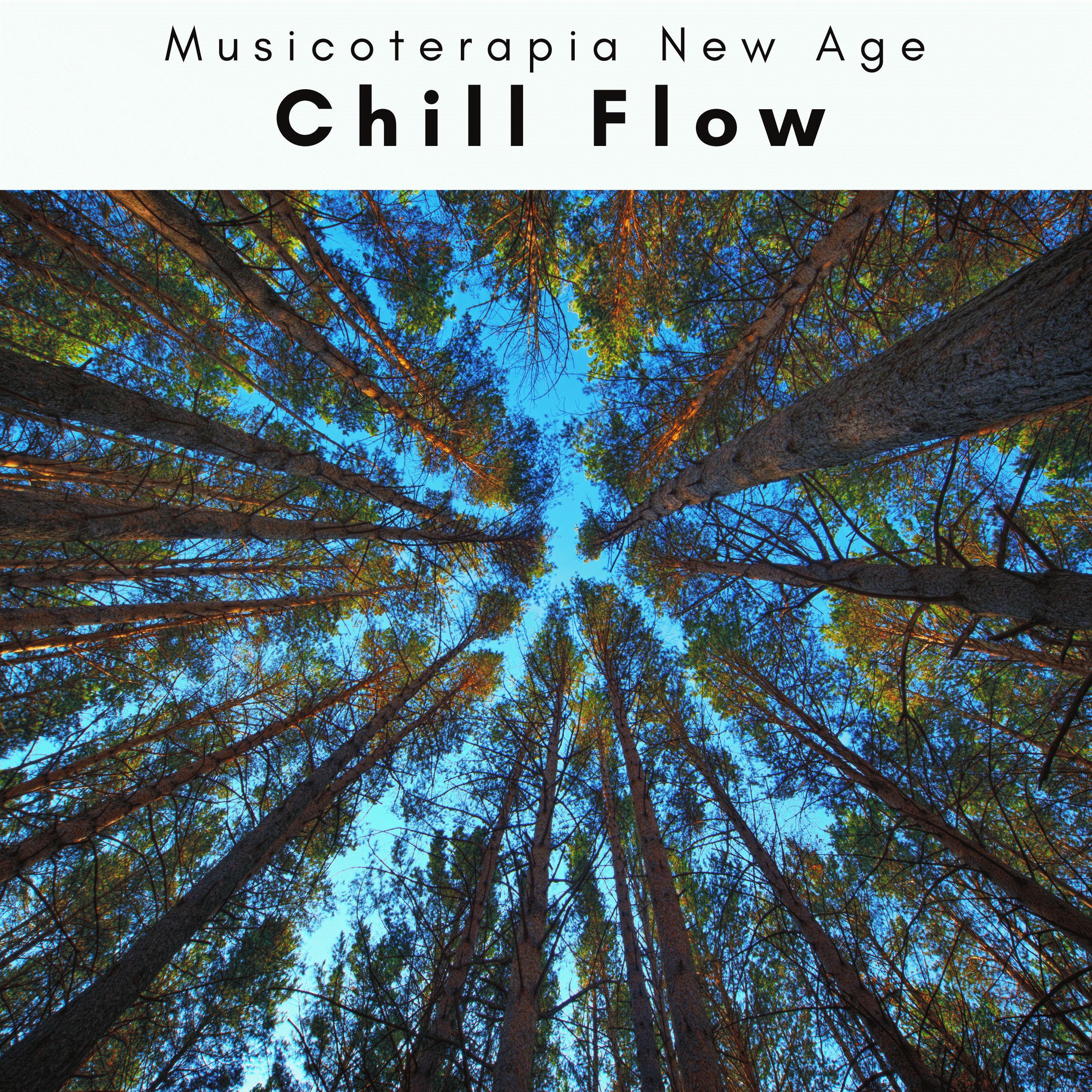 Album cover of 1 0 1 Chill Flow