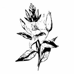 Cover of The FU EP