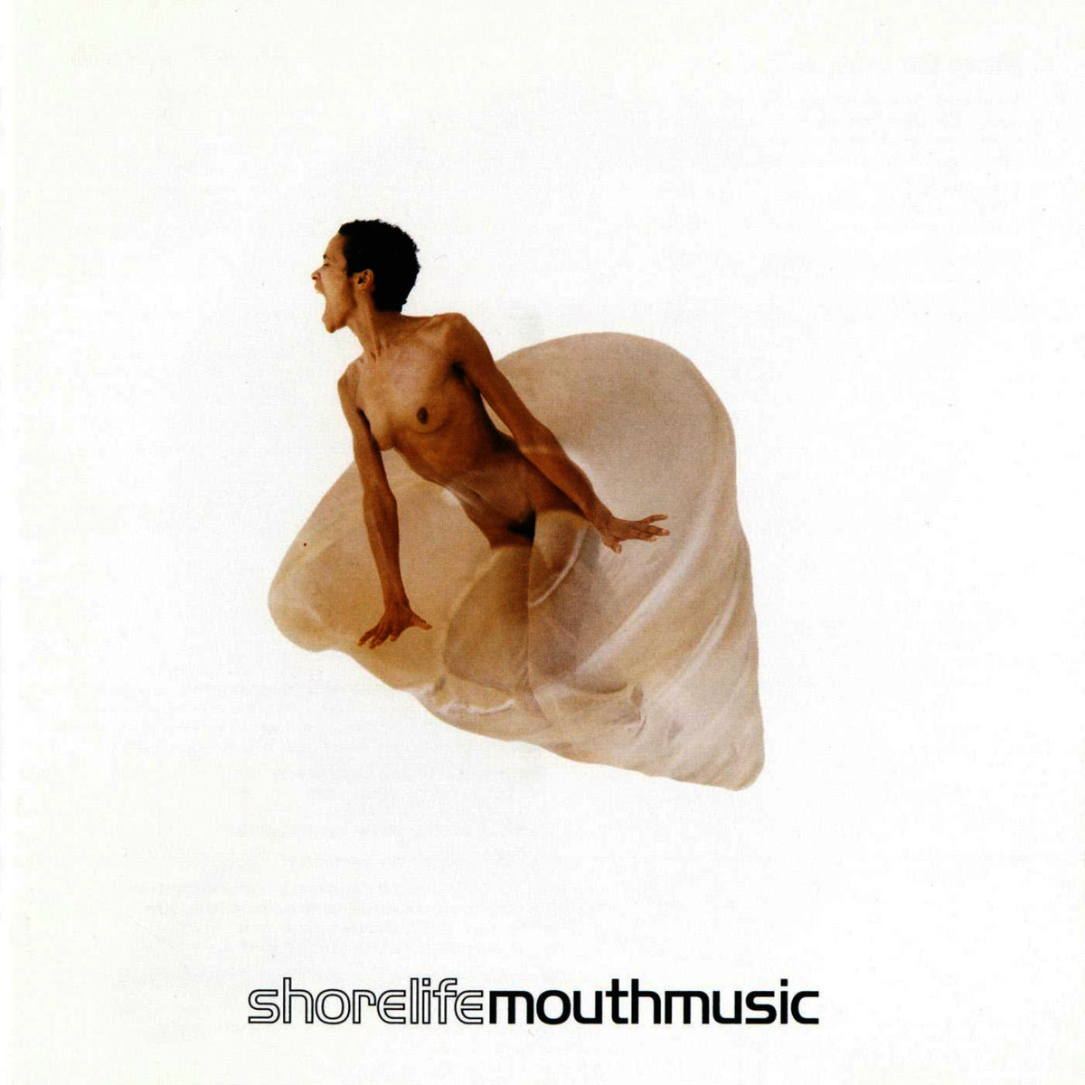 Album cover of Shorelife