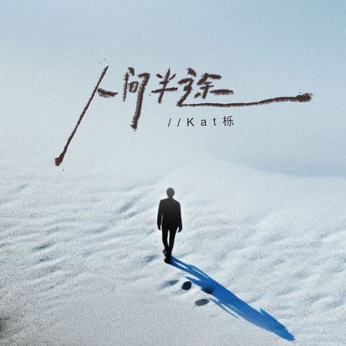 人间半途 (烟嗓DJ何友版)