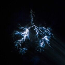 Cover of When Wind Meets Fire