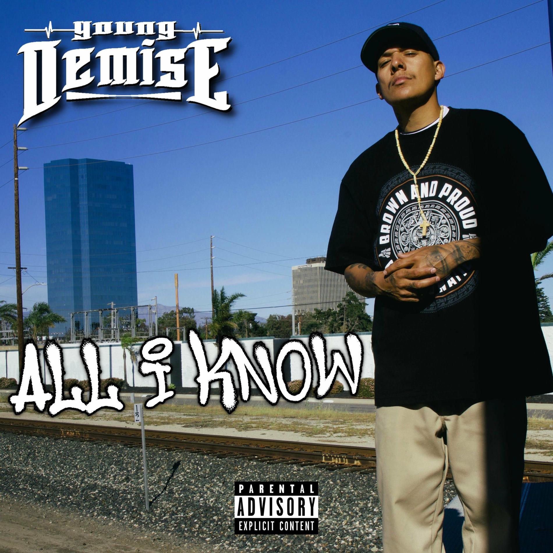 洋楽 YOUNG DEMISE/PLAYERISMZ/G-RAP Young Demise: albums, songs, concerts | Deezer