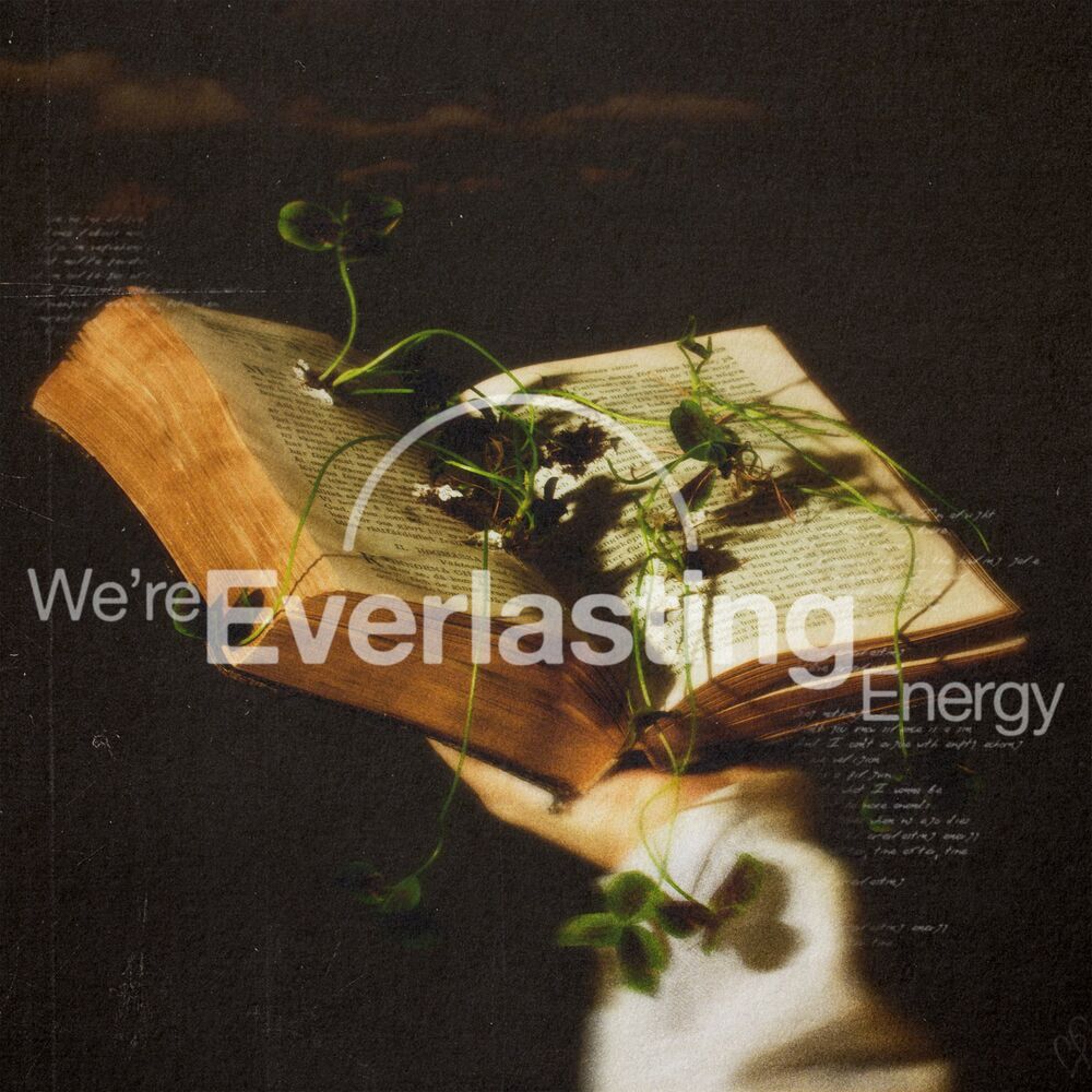 Picture of We're Everlasting Energy